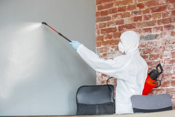Best Mold Remediation for Healthcare Facilities  in Storrs, CT