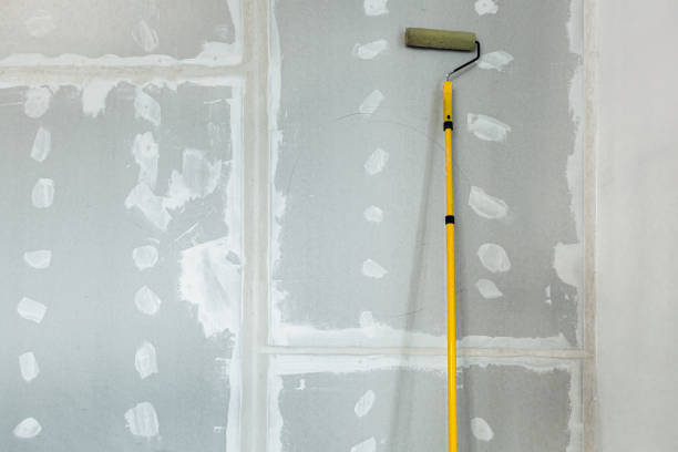 Professional Mold Removal in Storrs, CT