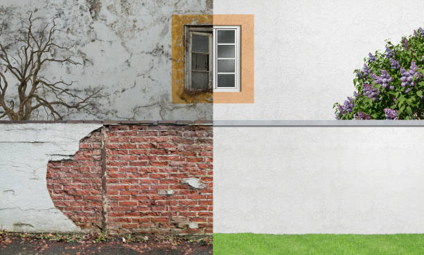 Best Biohazard Mold Removal  in Storrs, CT